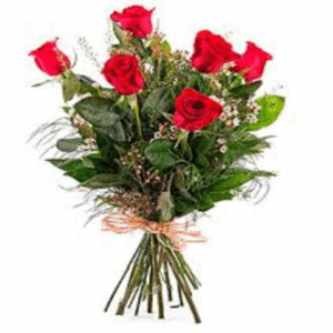 ramo de 6 rosas rojas